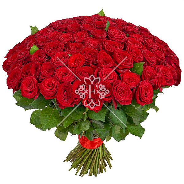 Букет из 101 красной розы Букет из 101 красной розы