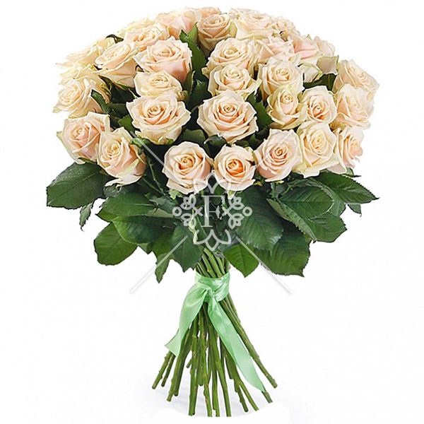 Жемчужная россыпь – букет из 51 кремовой розы Жемчужная россыпь - букет из 51 кремовой розы